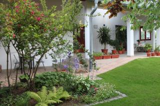 Boulevard Garden House - Free and save parking in the locked yard - Ćuprija - 8
