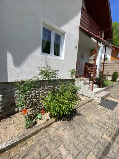 Casa Micul Arin - Sovata - 7