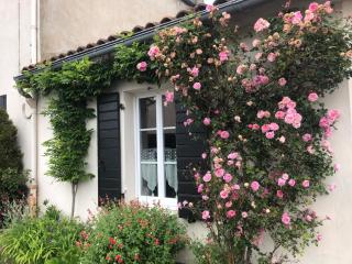 La Mulonniere - Saint-Sébastien-sur-Loire - 9
