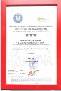 Peles Green Apartment & Piano - Cluj-Napoca - 7