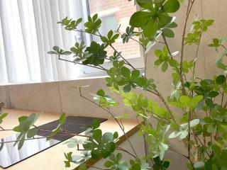 Hongdae good vibe with terrace - 3