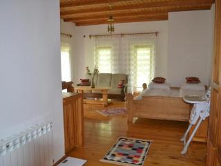 Heritage Home Ustikolina - Foča - 7