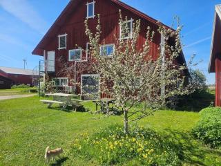 Ladan - Motala - 0