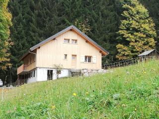 Les Curtillets - Bellevaux - 0