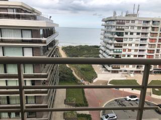 Duplex penthouse super zeezicht - De Panne - 5