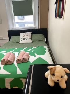 Private Flat in Heart of London - Londra - 9