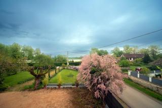 Au bord de La Saône - Maison pour 6 avec jardin - Uchizy - 5