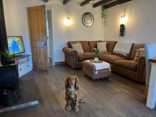 40 High street Cottage - 4