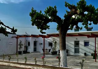 Relax under the mulberry tree - Istron - 2