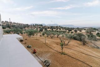 Ramo dolivo Villa - 9