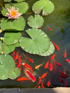 B&B Beauty House - 8