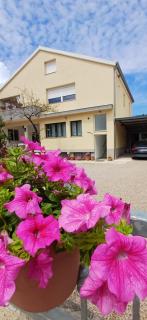 Apartman Gropa - Starigrad-Paklenica - 8