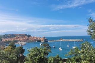 Ma Cabane - Collioure - 3