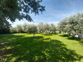 Hacienda MATEA - jacuzzi, pool, playground & bbq in an olive grove near beaches, Pula - Istria - Pula - 9