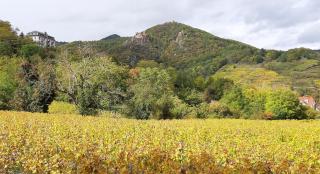 DANDELION Bed & Breakfast - Ribeauvillé - 8