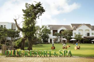Olle Resort - Jeju - 8
