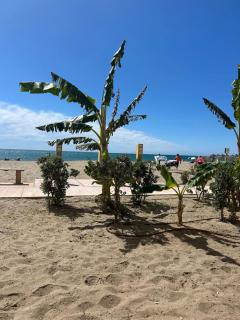 Estudio Riviera del Sol - Fuengirola - 3