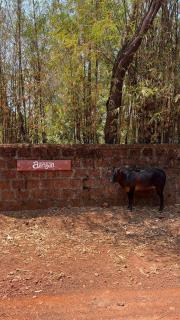 Aangan by Gokarma Living - Gokarna - 4