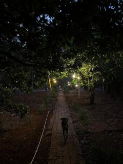 Aangan by Gokarma Living - Gokarna - 1