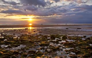 The BeeHive - Hunstanton - 6