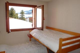 Beautiful apartment near the slopes of Megève - Megève - 3