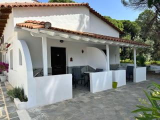 Villa Nikos Koukounaries - Koukounaries - 0