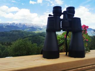 Glamping ZAZEN - Drumu Carului - 4