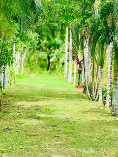 PRISTINE BEACH RESORT - Lataguri - 7