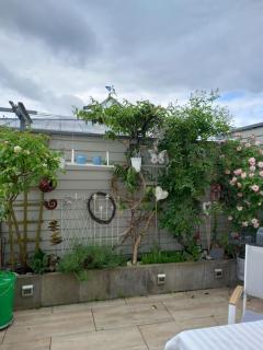 Charmante 2- Zi-Wo mit Dach-Terrasse - Ulm - 5