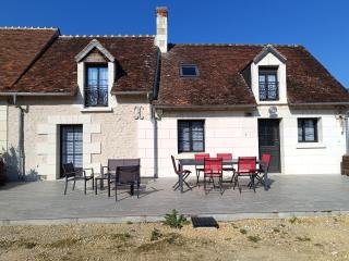 gite de la grand maison les chênes - Seigy - 1
