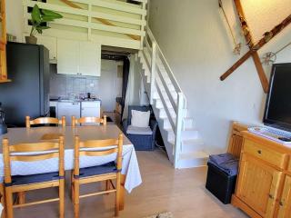 Duplex 4 pers - 1 ch - Centre station - Balcon Sud - Wifi - Parking - FR-1-393-114 - Saint-Michel-de-Chaillol - 4