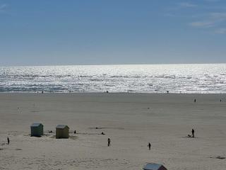 Charmant T2 à Berck-sur-Mer avec balcon face à la mer - FR-1-674-18 - 7