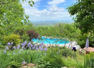 Les Hauts de Jeanvert - Le Chêne - Piscine - Gaillac - Gaillac - 8