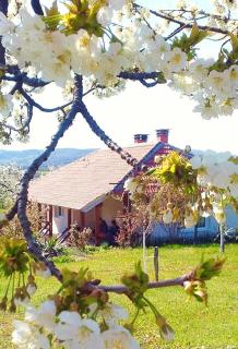 Kuća za odmor Zdravac - Kragujevac - 7