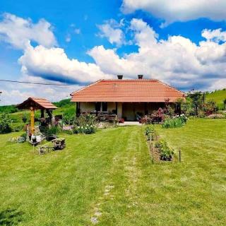 Kuća za odmor Zdravac - Kragujevac - 8