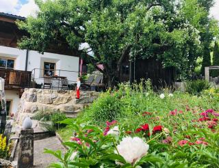 Haus Ehammer - Hopfgarten im Brixental - 5