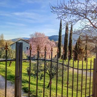 Villa di John - 8