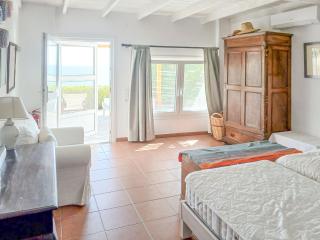 Fully Catered Vila in Cycladic in Posidonia, Greece - 2