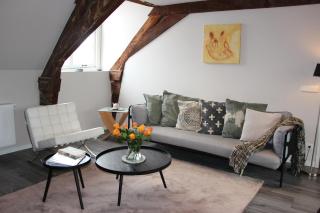 Luxe en ruim appartement in Rijksmonument - Vianen - 7