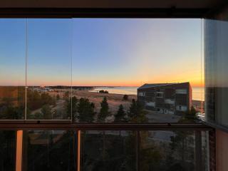 Jäkälänhovin Hellä - Kalajoki - 8