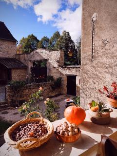La Baudinière, Chambre La Dorée - Boyer - 2