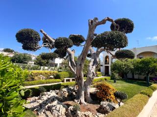 B&B La Rosa Blu - 7