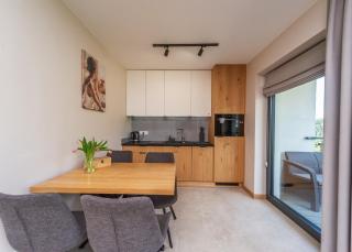 Apartament TOSIA Szczyrk z widokiem na góry i garażem - Szczyrk - 6