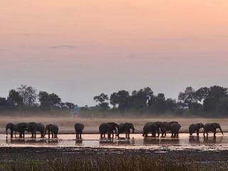 King Bed Hippo Lagoon Off Grid - Maun - 6