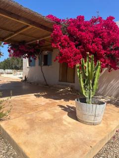 Casa Rustick - San Francisco Javier - 3
