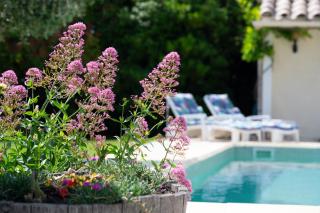 Le Bariole, luxury villa with heated pool - 4