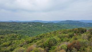 Pipers Paradise - Beech Mountain - 9