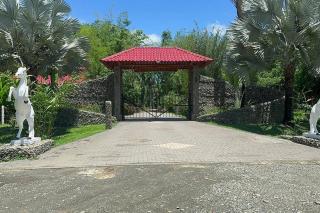 Laura Mountain House - Naranjito - 5