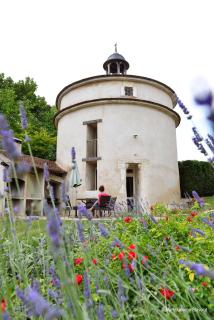 Domaine Borgnat - Escolives-Sainte-Camille - 8