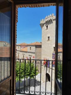HOTEL EL RASTRO - Palacio Duque de Tamames - - 5